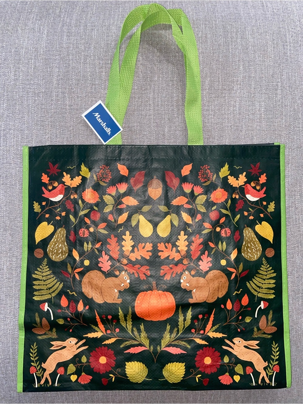Fall / Halloween Autumn Harvest with Fall Motifs Reusable Tote Bag— NEW!
